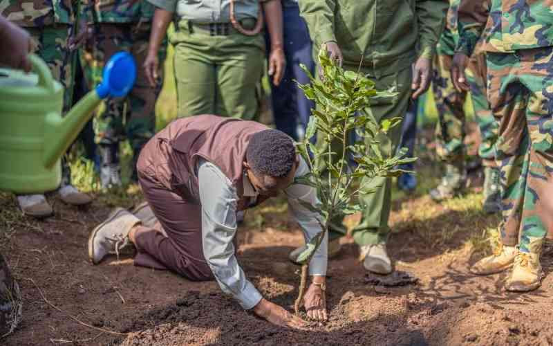 Taking care of environment is part of religious leaders' work Taking care of environment is part of religious leaders' work