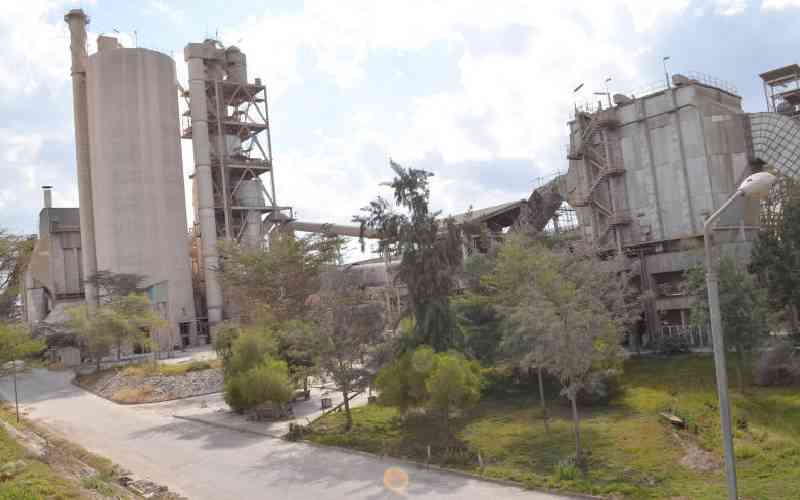 Tanzanian tycoon snaps up NSSF's stake in Portland for Sh1.6b Tanzanian tycoon snaps up NSSF's stake in Portland for Sh1.6b