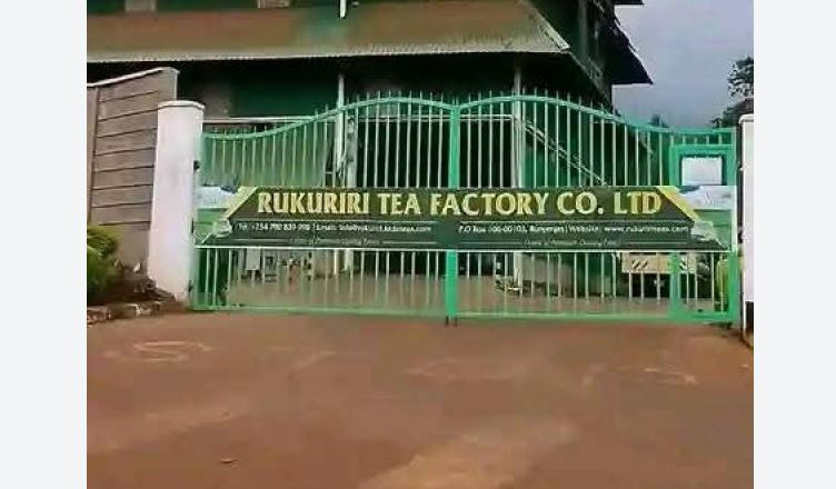 Task force proposes radical reforms to protect tea farmers Task force proposes radical reforms to protect tea farmers