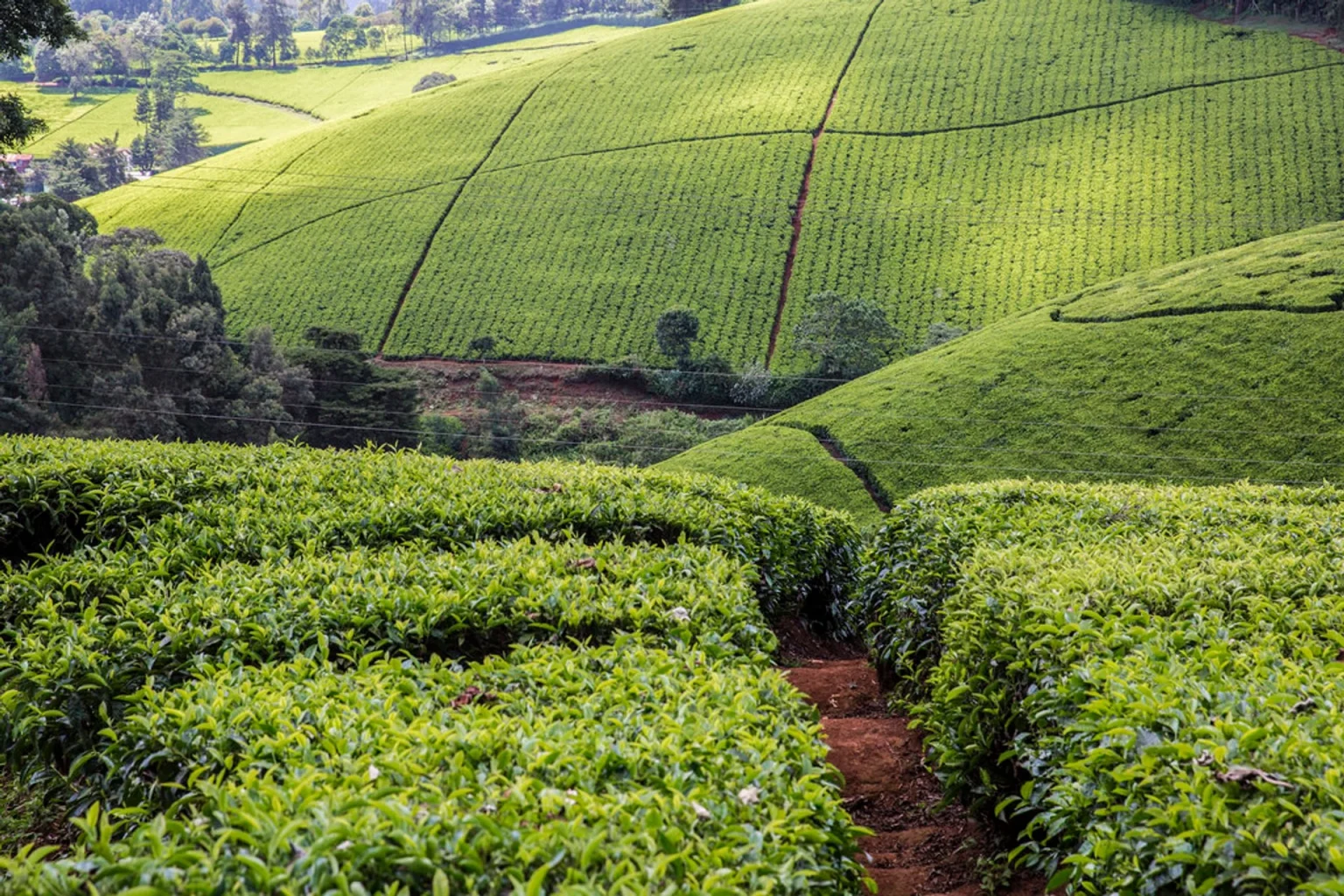 Kenyan Wall Street - Business, Markets & Finance Insights