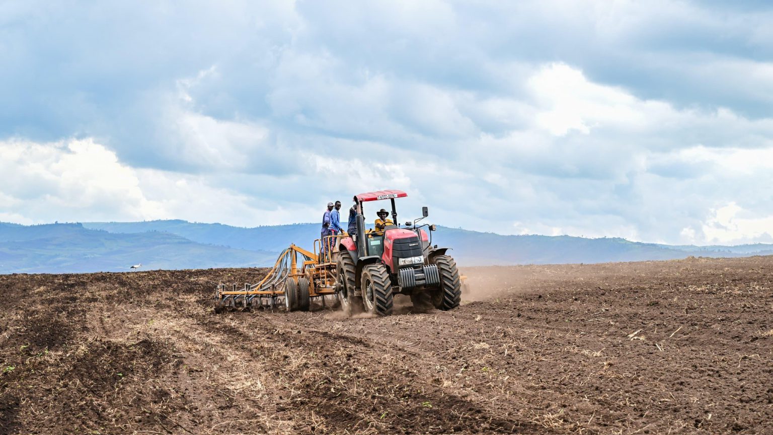 Technology, financing to enhance food security and value addition in Kenya