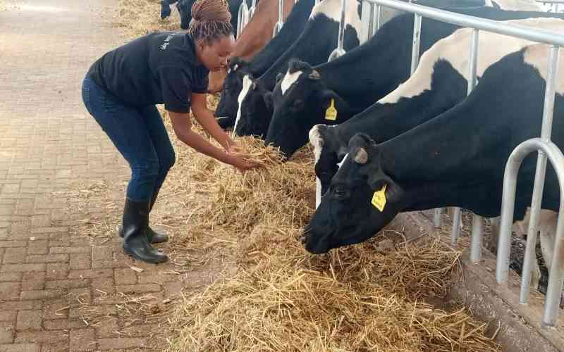 The real truth about livestock feed additives The real truth about livestock feed additives