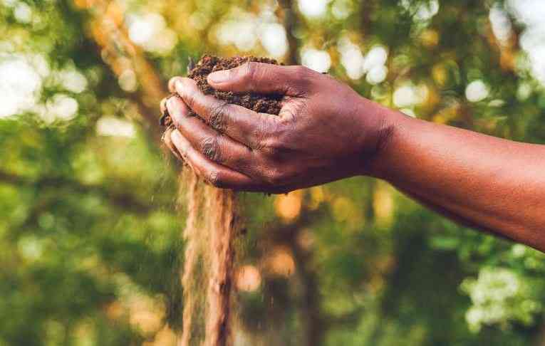 The soil is speaking but are we paying attention? The soil is speaking but are we paying attention?