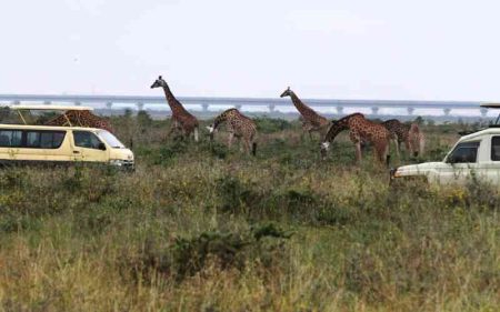 Tourism players oppose plans to hike park entry fees