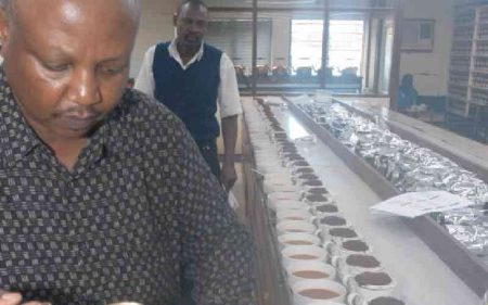 Trading of Orthodox tea to debut at Mombasa Auction