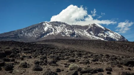 The Kenyan Wall Street - Business, Markets News, Investing Data & AI Tools