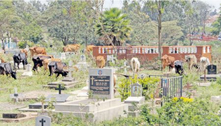 Unending controversy around Lang’ata cemetery making dead not rest in peace