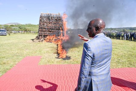 Up in flames! Ruto watches as hundreds of seized firearms are destroyed in Ngong