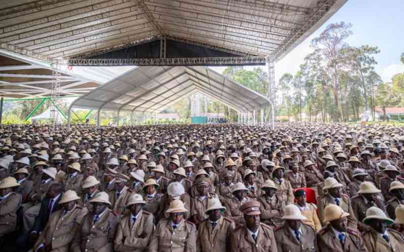 Village tyrants: Ruto order sees the return of dreaded chiefs Village tyrants: Ruto order sees the return of dreaded chiefs