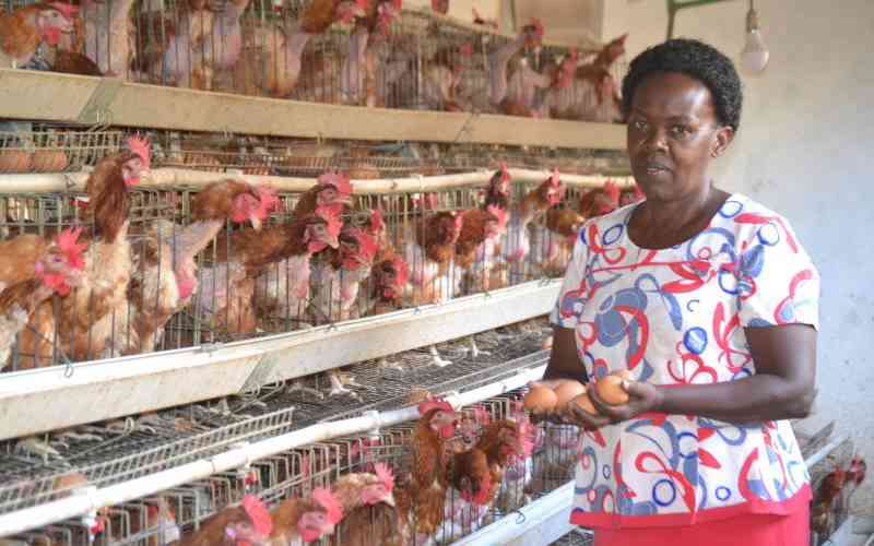 Water belly (Ascites) management in a flock of broilers Water belly (Ascites) management in a flock of broilers