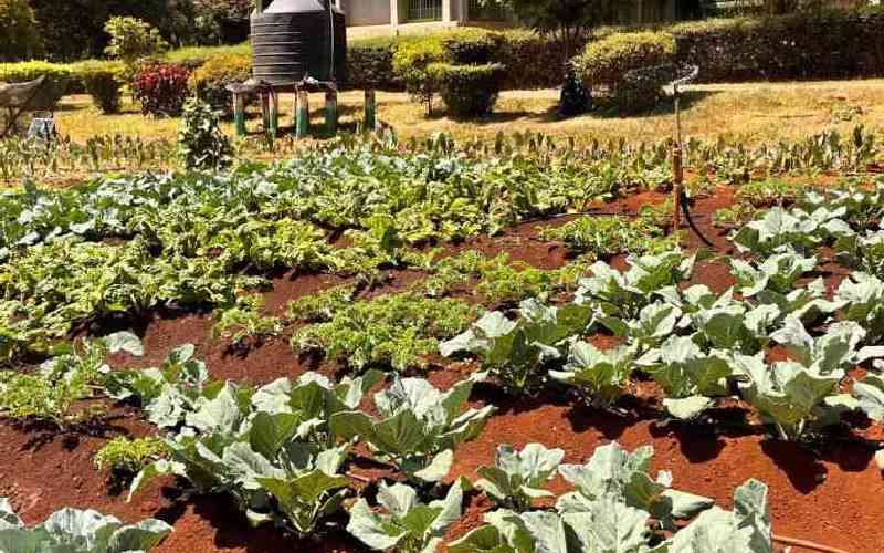 What biodiversity in food, agriculture can achieve quickly What biodiversity in food, agriculture can achieve quickly