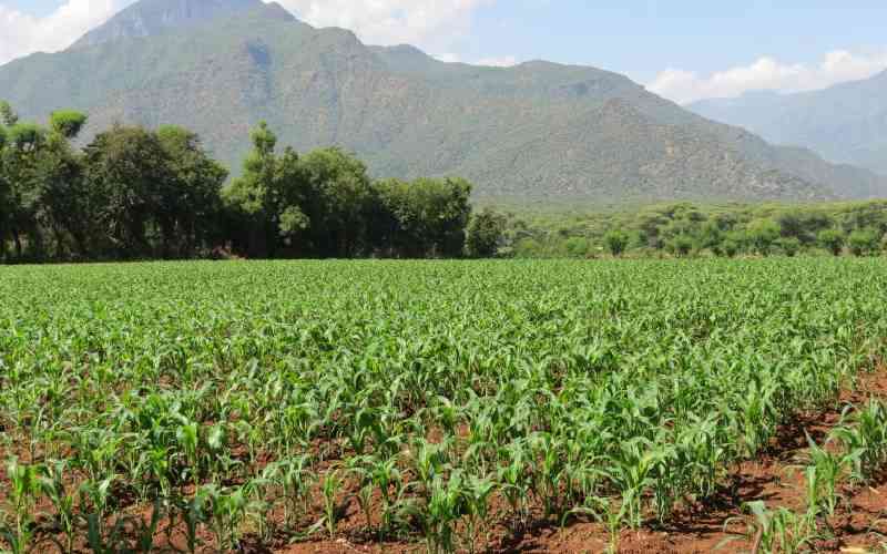 Who owns Kenya?: 2pc control over half of arable land Who owns Kenya? Report shows 2pc control over half of arable land