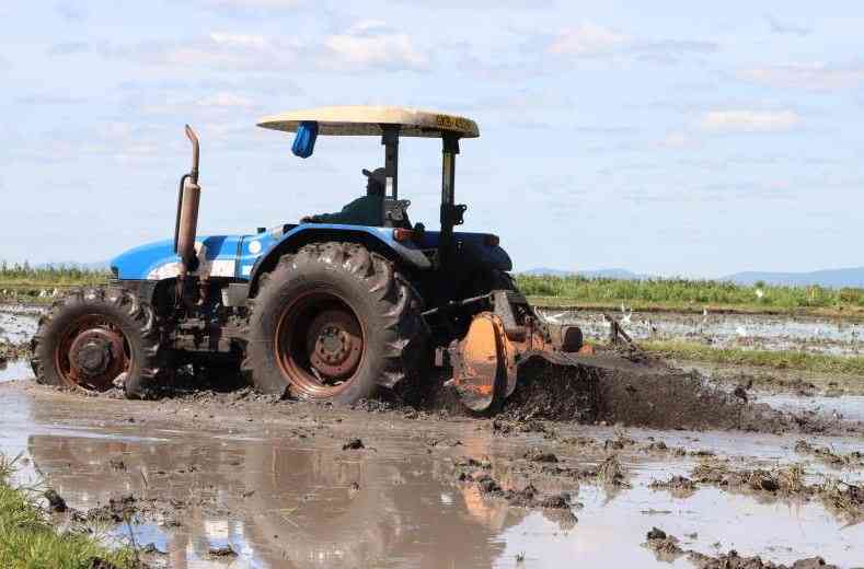 Why Africa can’t win the war against hunger with donated money Why Africa can't win the war against hunger with donated money