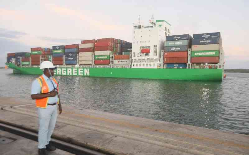 Why African ports' empty container pile-up crisis is deepening Why African ports' empty container pile-up crisis is deepening