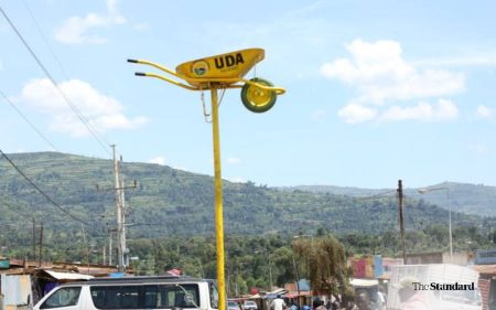 Why Kericho youth are upset with UDA party symbol