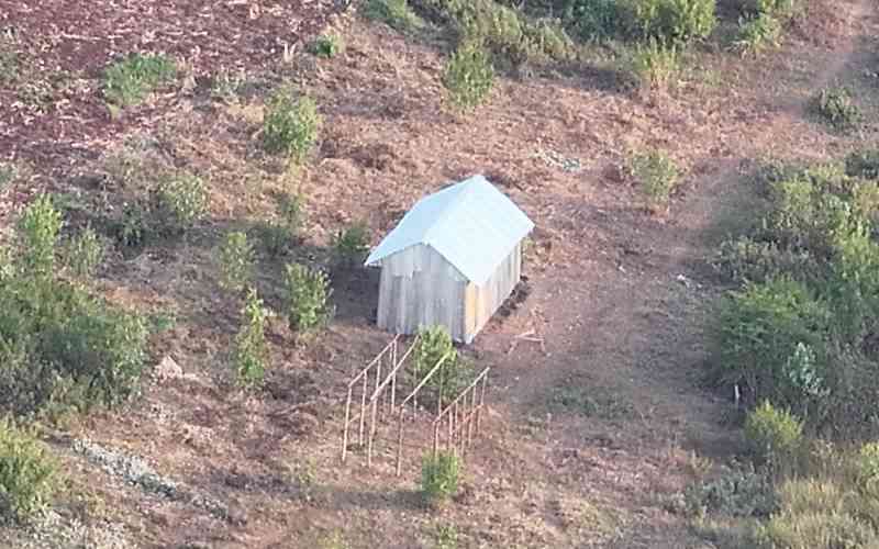 Why NLC recommendations around Kakuzi land is sending shockwaves to land owners Why NLC recommendations around Kakuzi land is sending shockwaves to land owners