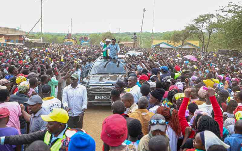 Why Ruto allies, opposition are fighting for by-election prize Why Ruto allies, opposition are fighting for by-election prize