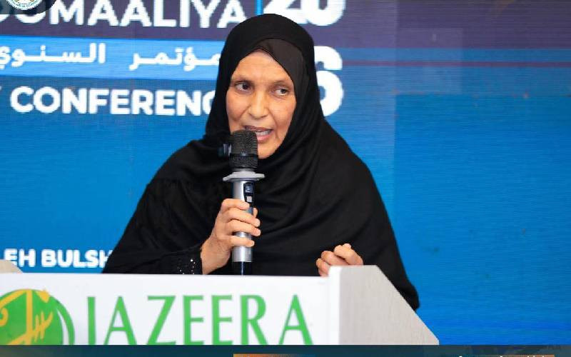 Why Somalia's human rights chief question on freedoms has ignited national debate Why Somalia's human rights chief question on freedoms has ignited national debate