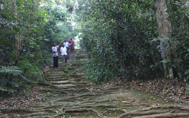 Why Taita Taveta, Kakamega should be on your travel wishlist Why Taita Taveta, Kakamega should be on your travel wishlist