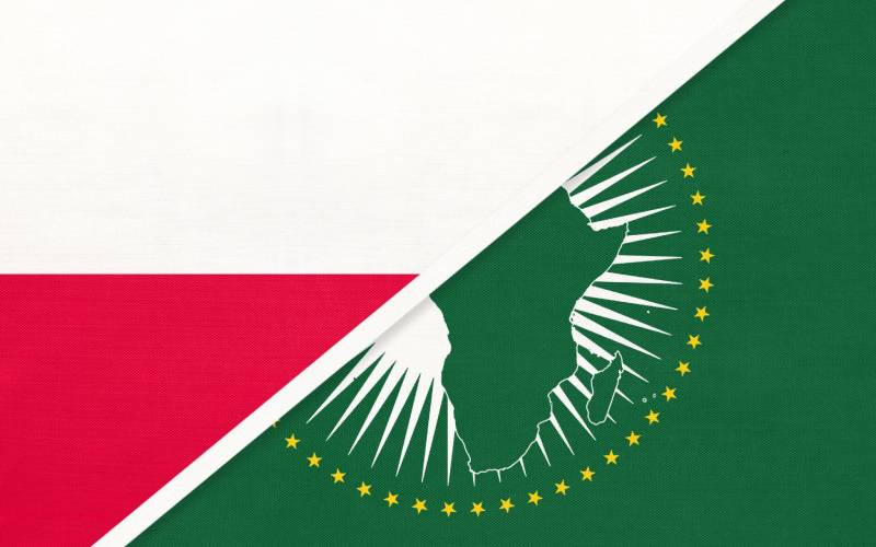 Why fast-rising Poland has set its sights on Kenya and Africa at large Why fast-rising Poland has set its sights on Kenya and Africa at large