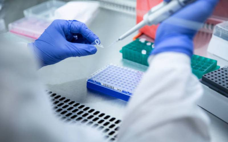 Why genotype testing matters before marriage Why genotype testing matters before marriage