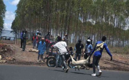 Why raid on Kenyatta farm is haunting Mt Kenya leaders