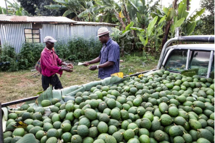 World Bank names four key investment bets for Kenya in next five years World Bank names four key investment bets for Kenya in next five years